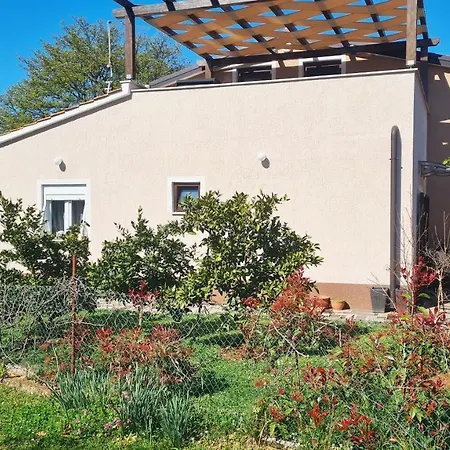 Kos Apartament